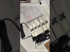 Cân tế bào tải