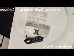 Các pin cảm biến tải ZEMIC L6G 500kg cho cân sàn cân công nghiệp