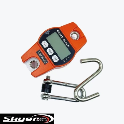 chất lượng  300kg Digital Crane Scale with LED LCD Display nhà máy