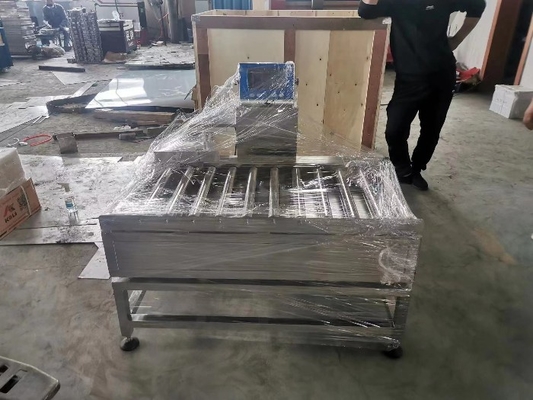 Cân kiểm tra con lăn tĩnh tùy chọn có độ chính xác cao cho thực phẩm / thương mại