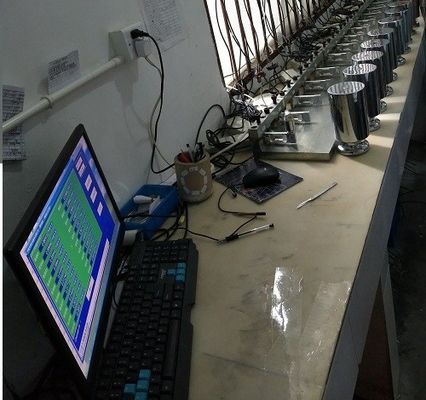 Bảo vệ quá tải Kỹ thuật số chỉ số cân di động