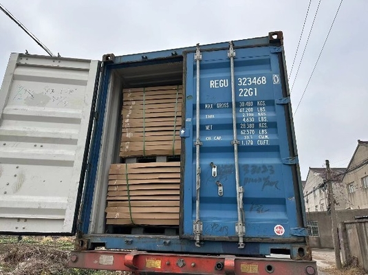 Ngăn ngừa vết cắn chuột chất lượng cao thang sàn điện tử công nghiệp cân cân cân cân bằng số