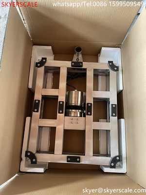 Kho lưu trữ 600x700 800kg Scale Inox Platform Stainless Steel