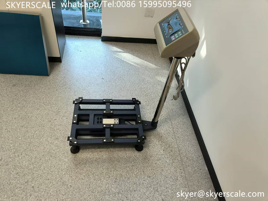300kg Platform Bench Scale Kết nối máy tính với Rs232
