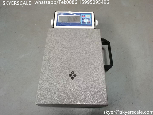 100kg Logistic Digital Weighing Scale High Accuracy Display Counting Table Top Platform Scale (Tầm cân kỹ thuật số hậu cần)
