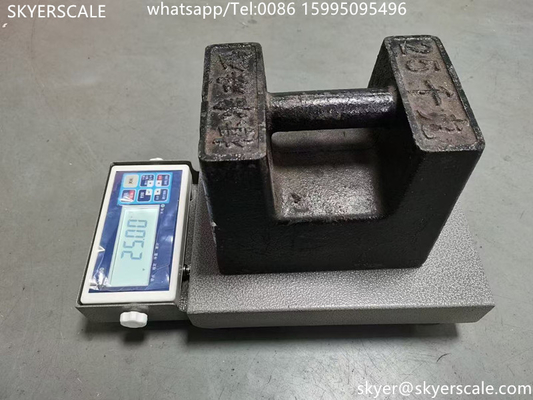 100kg Logistic Digital Weighing Scale High Accuracy Display Counting Table Top Platform Scale (Tầm cân kỹ thuật số hậu cần)