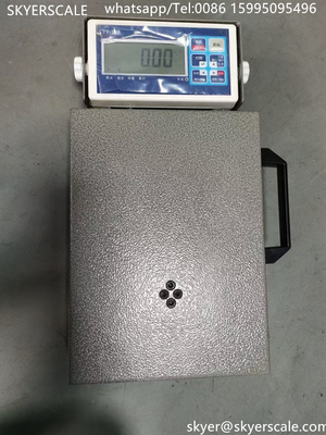 100kg Logistic Digital Weighing Scale High Accuracy Display Counting Table Top Platform Scale (Tầm cân kỹ thuật số hậu cần)