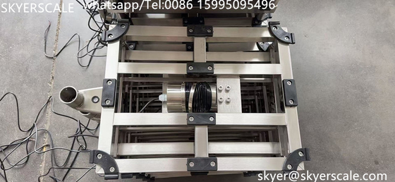 Đường cân trọng lượng băng ghế 100kg 30x40cm