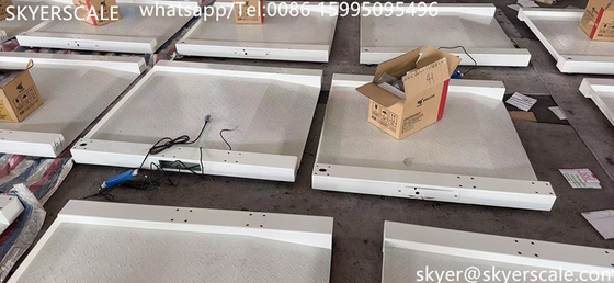 Bệnh viện y tế dành riêng 800x800mm 250kg thang đo xe lăn