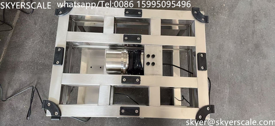 Tùy chỉnh 500kg gia súc gà băng ghế cân cân