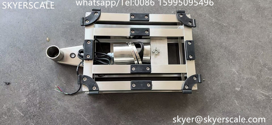 200kgs Stainless Steel Platform Scale Đường cân ghế dự bị kỹ thuật số