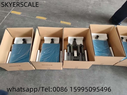 A12E Frame Digital Carbon Steel Platform Scale With Weighing Indicator Scale Platform Scale (Bộ đồ số kim loại thép cacbon với chỉ số cân)