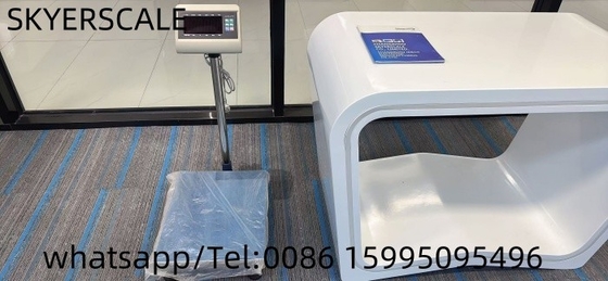 400x500mm 300kg Platform Bench Scale với chỉ số cân XK3190-T7+E
