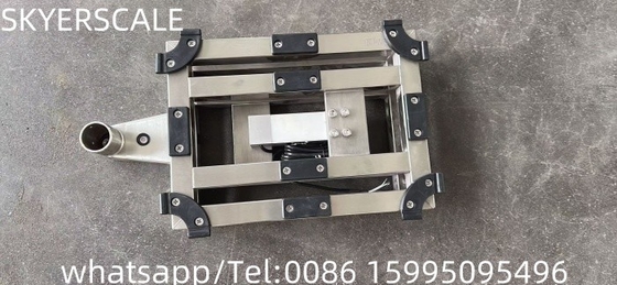 150kg Stainless Steel cân nền tảng cân với XK3190-A12 chỉ số LCD