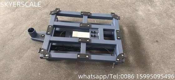 300kg TCS Digital Electronic Platform Scale với chế độ xử lý phủ bột tùy chọn