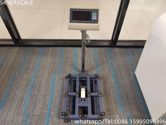 Thép carbon kỹ thuật số 45x60cm 300kg Platform Scale Bench Scale With T7+E Weighing Indicator