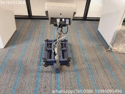 Nền tảng Đánh cân điện tử Đánh cân nền kinh tế 300kg