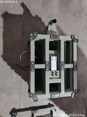 300kg Electronic Beam Balance Bench Electronic Digital Platform Scale Đánh cân