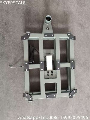 100kg 300x400mm Electronic Digital Retail Bench Scale Carbon Steel Platform LED ZEMIC Load Cell OEM ODM Tùy chỉnh