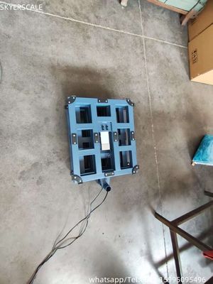 300kg Electronic Digital Retail Bench Scale Carbon Steel Platform LED ZEMIC Load Cell OEM ODM Tùy chỉnh