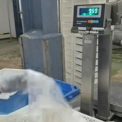 Cân bàn không thấm nước bằng thép không gỉ 30x40cm 304   100kg